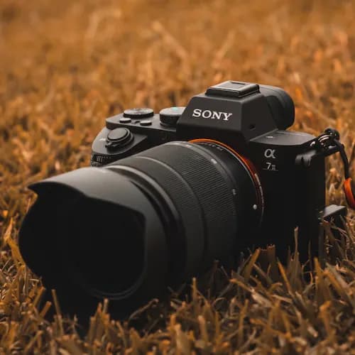 Sony Alpha a7 III Mirrorless Camera