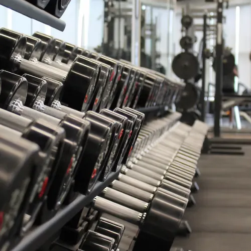 Dumbbell Set with Rack